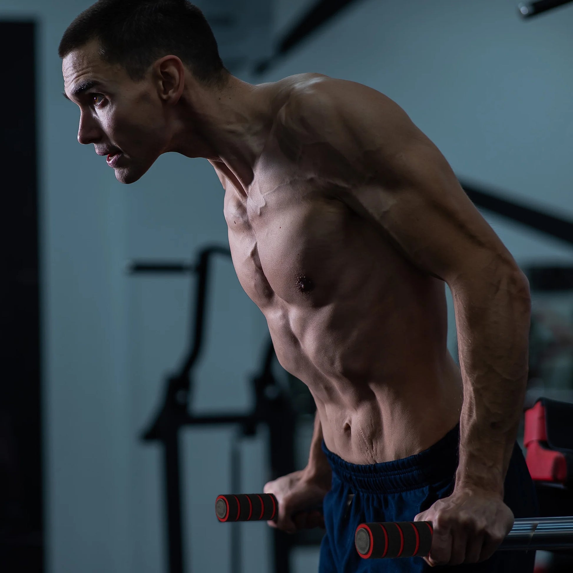 Steel Frame Dip Station with Adjustable Height, 500 Lb Weight Capacity, White